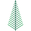 decoration,nature,botanical,xmas,park,garden,yard,forest,pine,christmas tree